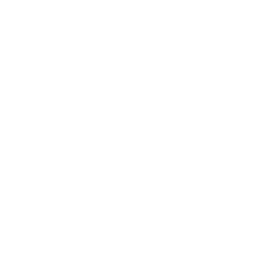 WORDPRESS DEVELOPMENT